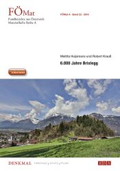 Fundberichte Materialheft A 22 E-Book