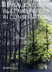 Restauratorenblätter - Papers in Conservation Band Art.2/38 E-Book